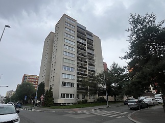 IMG_8969 (1)
