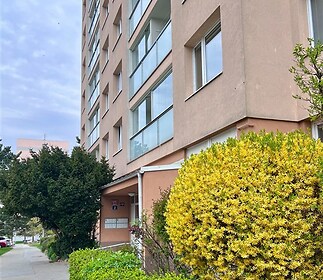 Vchod do panelového domu s upravenou zelení, moderní fasáda, nové vchodové dveře a okna zajišťují estetický vzhled a pohodlný vstup.