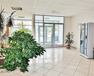 Vstupní hala s dlažbou, velkými okny a moderním vendingovým automatem, nabízí světlý prostor a příjemnou atmosféru s rostlinami.