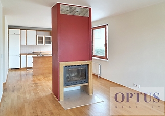 living-room-fire-place.jpg