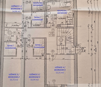 basic-floor-plan-03-1st-floor.jpg