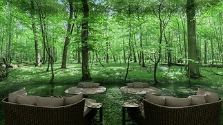 One River Point - immersive room