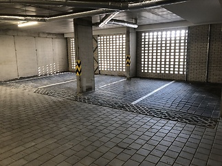 IMG_3391