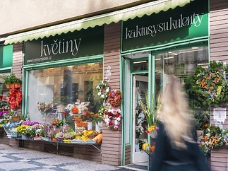 hermanova-24-adsc-6648-5d211c