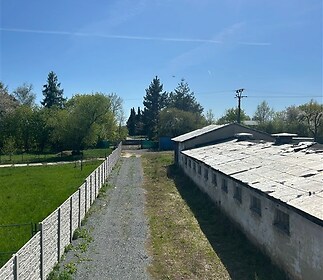 Příjezdová cesta ke starší budově s rekonstrukčním potenciálem, obklopená zelení a venkovským prostředím, ideální pro investici.
