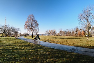 Prodej bytu 2+kk 47 m², Praha 3