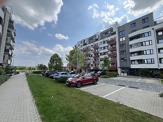 IMG_4473