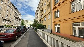IMG_1176.jpg