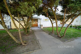 Vstupní prostor bytového domu se zelení, betonový chodník a vzrostlé stromy, udržovaný venkovní prostor, rekreační oblast.