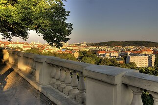 Bytová jednotka č. 31