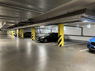 IMG_5582