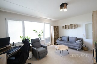 Světlý obývací pokoj s velkými okny, moderním nábytkem a kobercem, útulný pro relaxaci i práci, obsahuje pracovní stůl a pohodlné posezení.