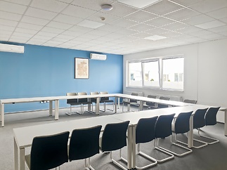 HQ_Ostrava, Laso_Czech Republic_Centre 8937_Board Room 1