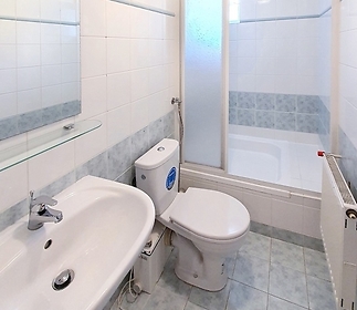 bathroom3-basement.jpg