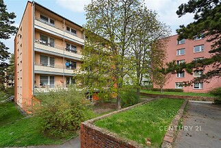 Malebná bytová jednotka ve starším domě s cihlovou fasádou, obklopená zelení, s balkonem a udržovanou zahradou v poklidné čtvrti.