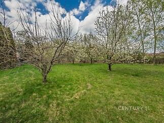 Prostorná zahrada s ovocnými stromy, pečlivě udržovaným trávníkem, ideální pro relaxaci. Klidná lokalita, vhodná pro rodiny s dětmi.