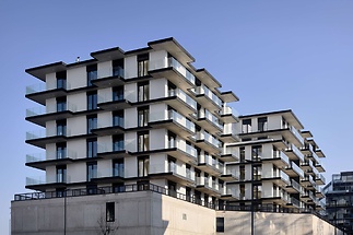 ahoj-vanguard-0q2a9272-1-ddaea5