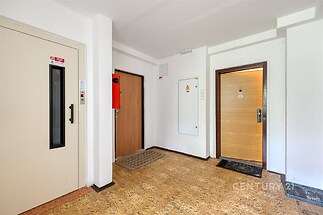 Společná vstupní hala s korkovou podlahou, vedle které se nachází výtah a vstupy do jednotlivých bytů, čistě udržovaná v moderním stylu.