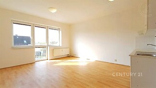 prázdná místnost s radiátor, dřez, přirozené světlo, a dřevěná podlaha