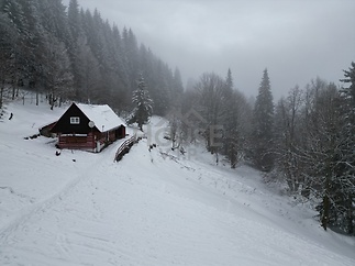 dji_fly_20260204_143046_575_1770296687750_photo