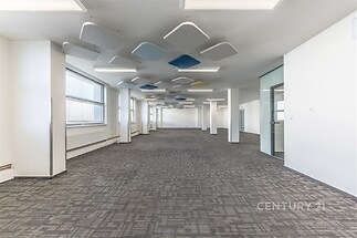 Prostorná kancelář s moderním kobercem, velkými okny a skleněnými příčkami v minimalistickém stylu.