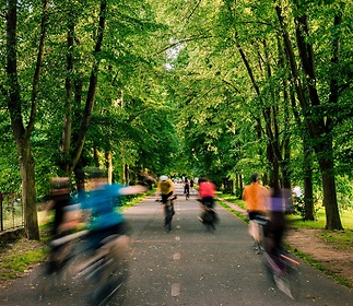 zit-branik-250604-zit-branik-vyber-hq-0020-d50789