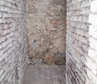 cellar.jpg