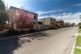 Klidná rezidenční ulice s moderními rodinnými domy, světlá fasáda, pečlivě udržované zahrady, nádherný kvetoucí strom v popředí.