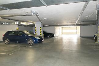 IMG_4601a.jpg