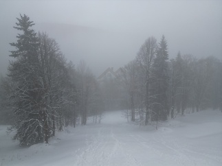 dji_fly_20260204_142530_559_1770296689931_photo