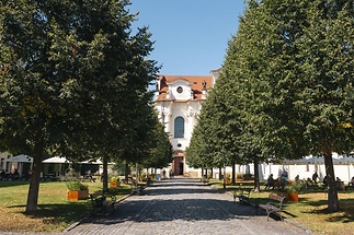 pod-drinopolem-dsc-8399-4f4ef2