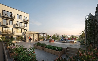 Neon & Xenon | Brno Jedna by PSN