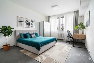 Vizualizace – ilustrační zobrazení prostoru