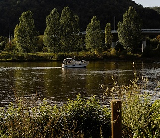 vanguard-prague-2-9ccfea