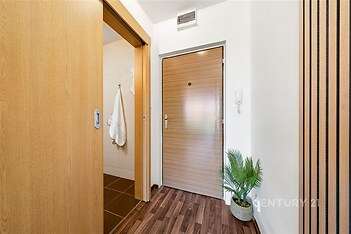 Vstupní hala s dřevěnými dveřmi, parketovou podlahou a dekorativní rostlinou, světlý a moderní interiér
