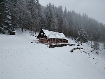 dji_fly_20260204_143212_580_1770296682384_photo