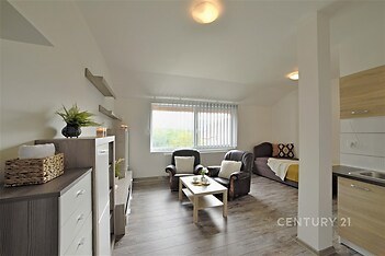 Světlý obývací pokoj s parketovou podlahou a velkými okny, moderní interiér s elegantním nábytkem a dekoracemi, propojený s kuchyňským koutem.