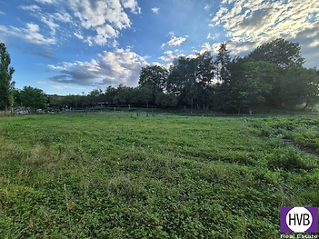 20250804-191514.jpg