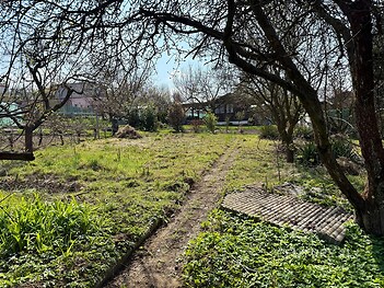 Zahrada s ovocnými stromy a zelení, nacházející se v klidné lokalitě. Vhodná pro rekreační využití nebo zahradničení.