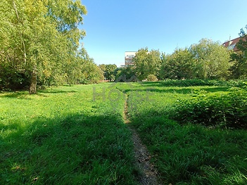 IMG_20250918_135224