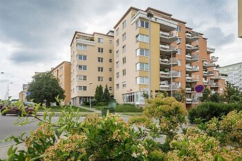 foto 1: MS INVEST
