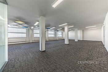 Prostorná komerční kancelář s moderním kobercem, vestavěnými světly a velkými okny poskytujícími dostatek přirozeného světla