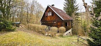 Chata v přírodě, dřevěná konstrukce s šikmou střechou, obklopena zelení a stromy, nabízí klidné prostředí a rustikální styl bydlení.