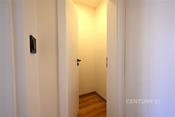 Útulná chodba s dřevěnou podlahou a moderními bílými dveřmi, vynikající prosvětlením a čistým designem.