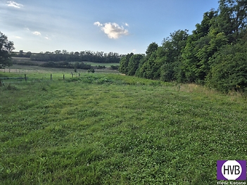 20250804-191658.jpg