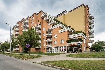 foto 2: MS INVEST