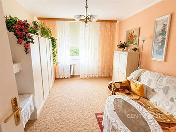 Světlý obývací pokoj s kobercem, velká okna a vestavěné skříně, dekorativní rostliny, klasický stylový nábytek, útulná atmosféra.