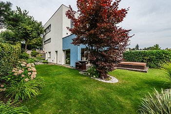 850_8946.jpg