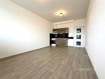 Prostorný obývací pokoj s moderní kuchyní, laminátová podlaha, vestavěné skříně, minimalistický styl