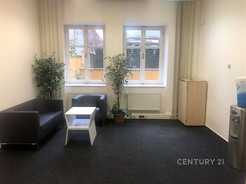 Světlý obývací pokoj s tmavou kobercovou podlahou, velkými okny a moderním nábytkem, ideální pro příjemné posezení.